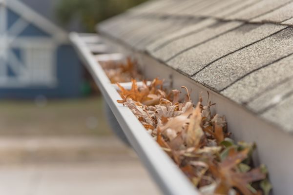 Leaf Barrier Installation in Warner Robins
