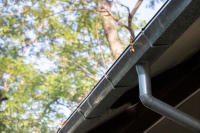 Clean Gutter System