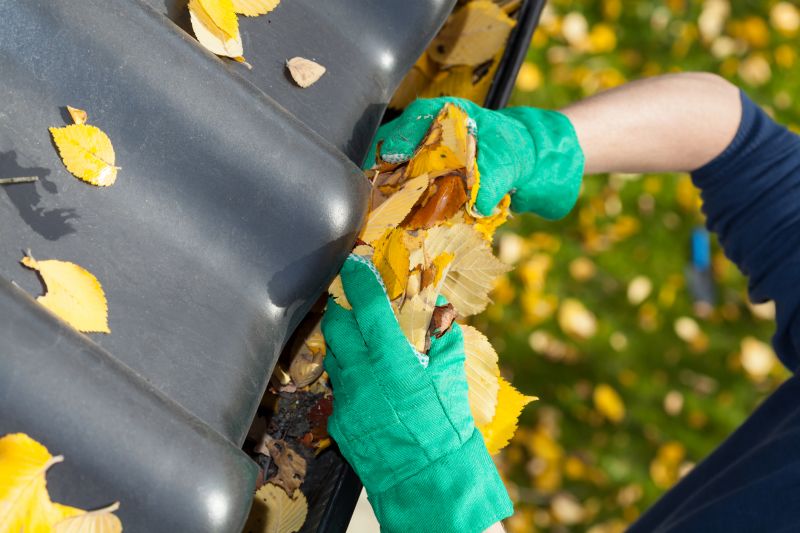 Autumn Gutter Cover Maintenance